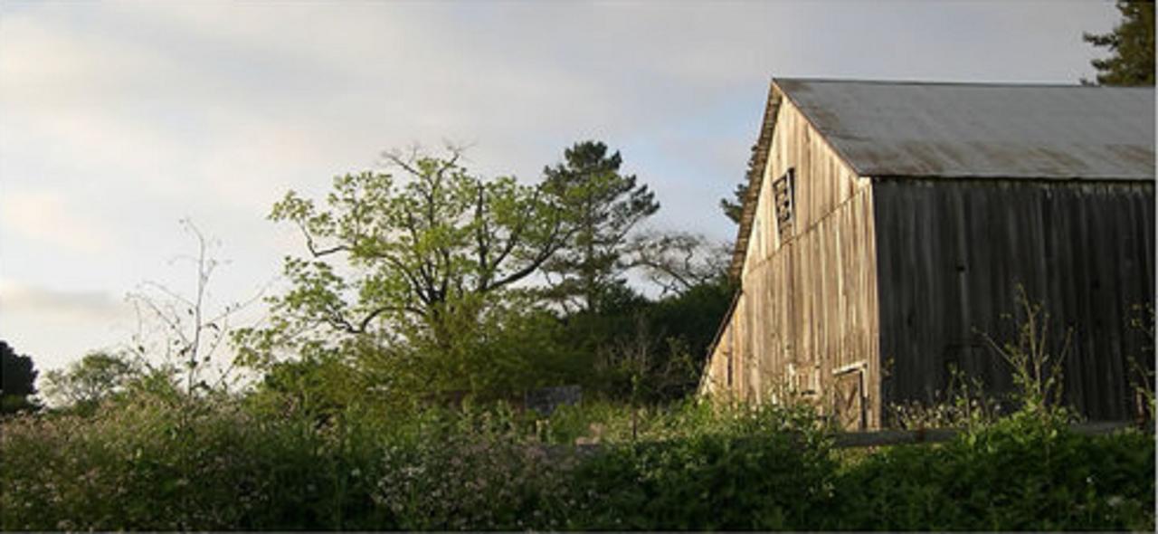 The Gables Wine Country Inn ซานตา โรซา ภายนอก รูปภาพ