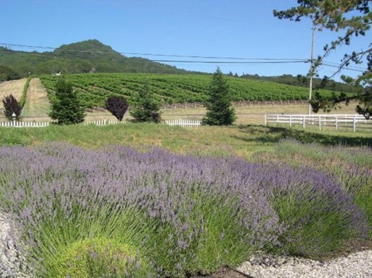 The Gables Wine Country Inn ซานตา โรซา ภายนอก รูปภาพ
